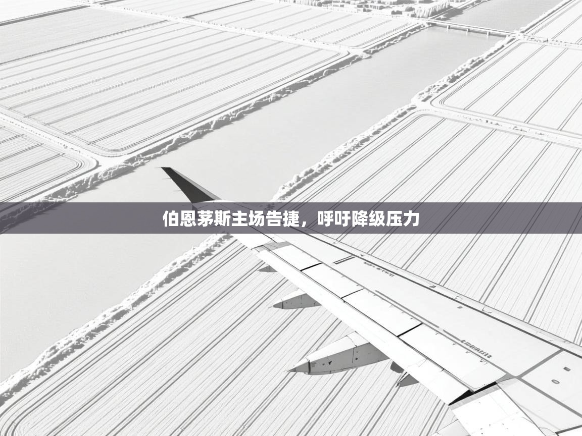 伯恩茅斯主场告捷，呼吁降级压力  第1张