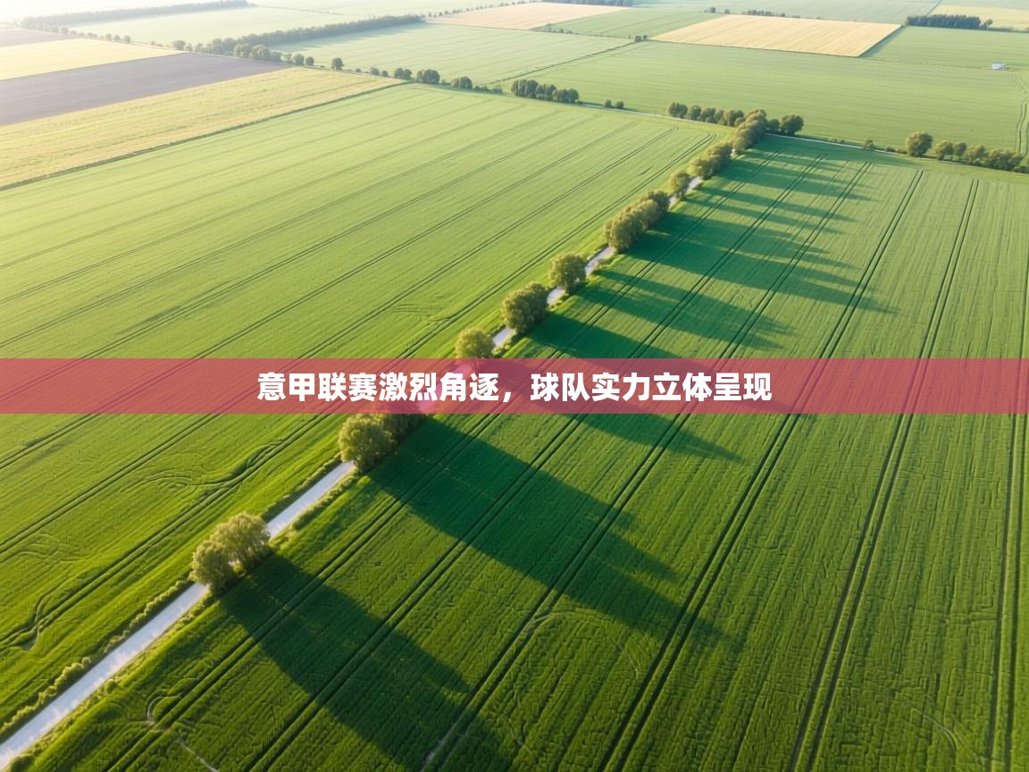 意甲联赛激烈角逐,球队实力立体呈现 第2张