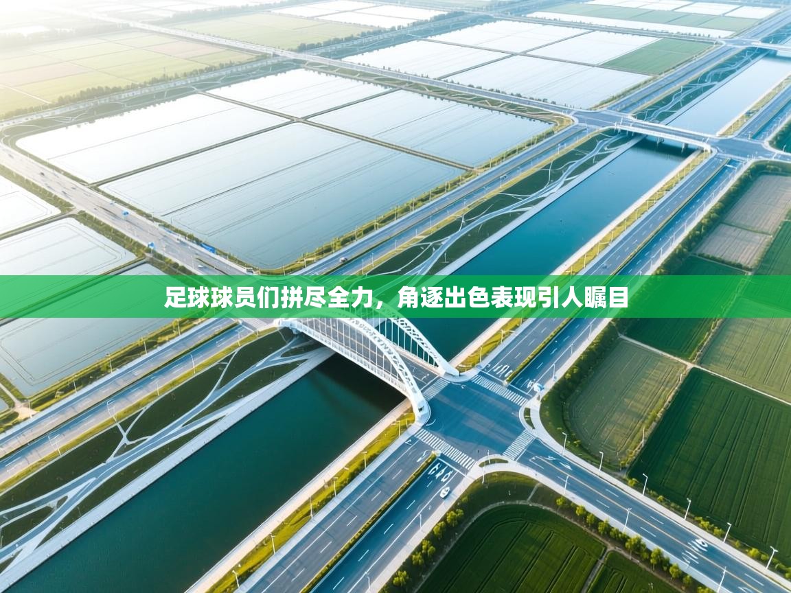 足球球员们拼尽全力，角逐出色表现引人瞩目  第2张